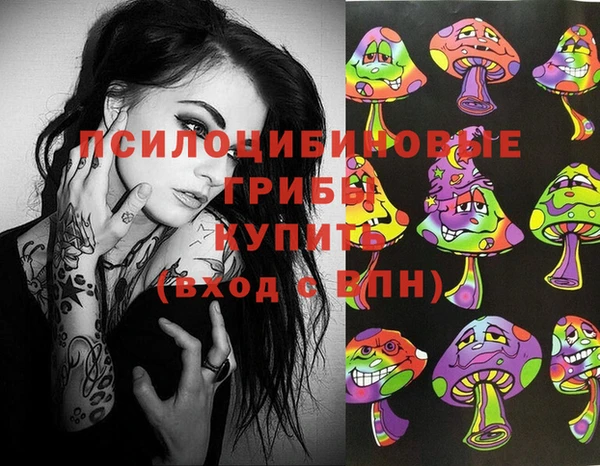 apvp Баксан